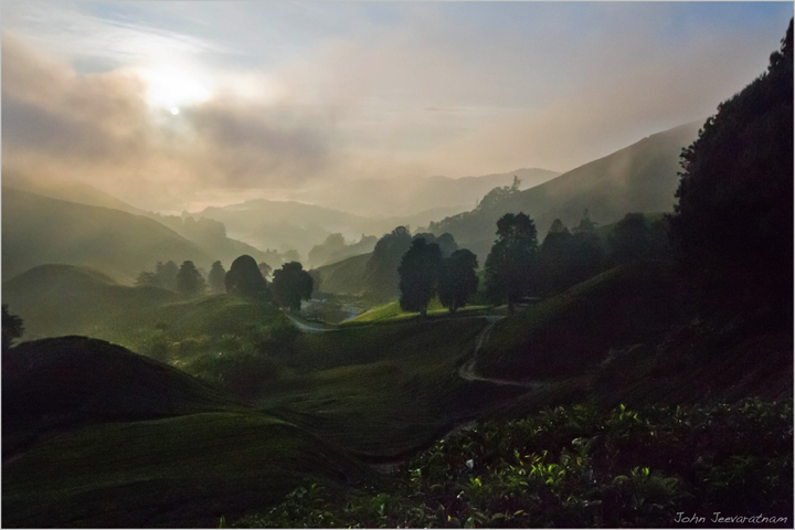 Cameron Highlands