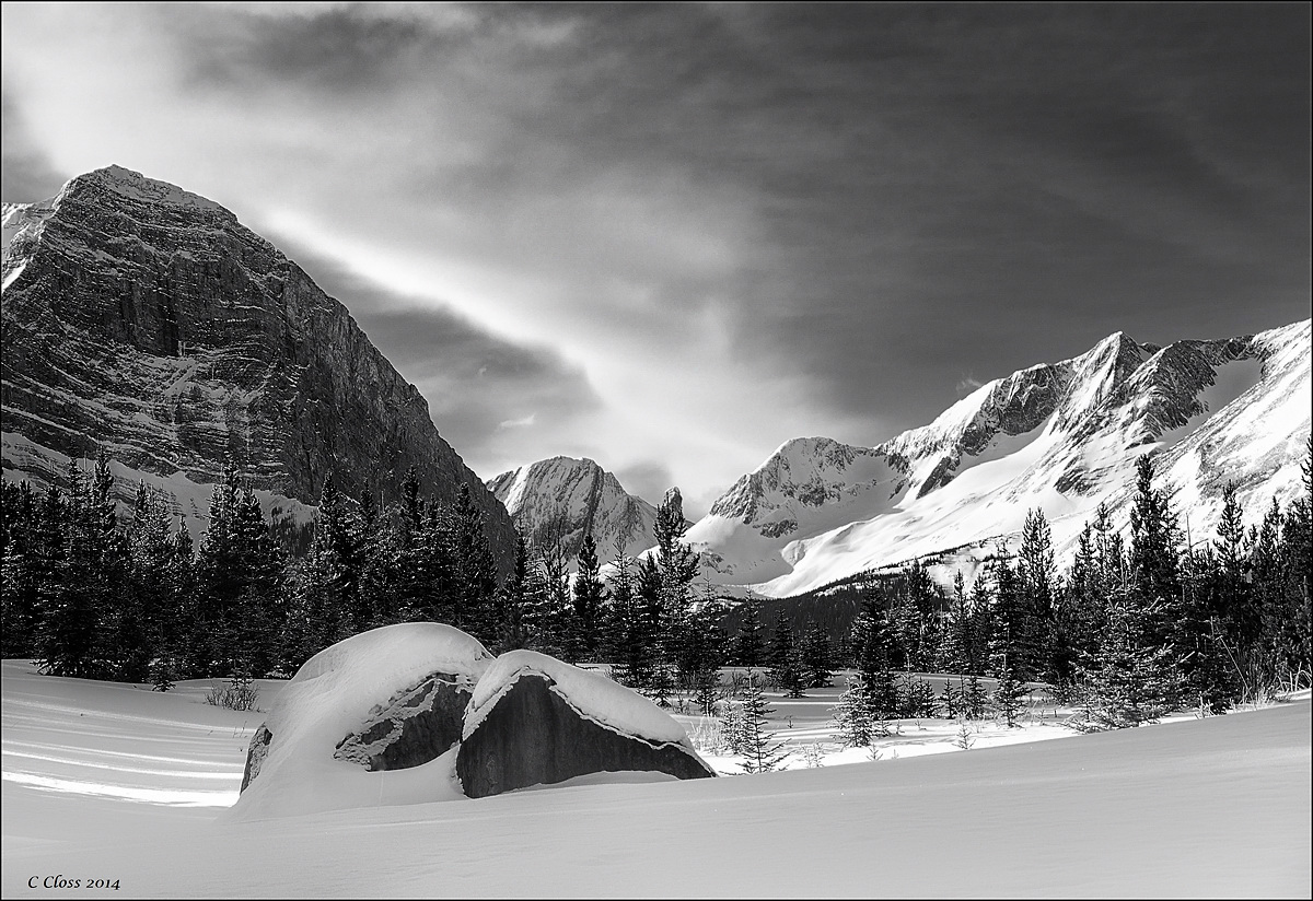 Winter Wildernes