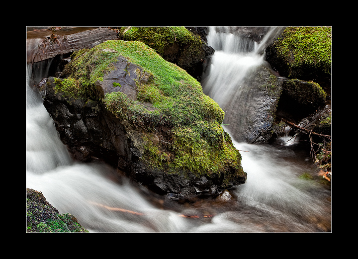 In the Gorge
