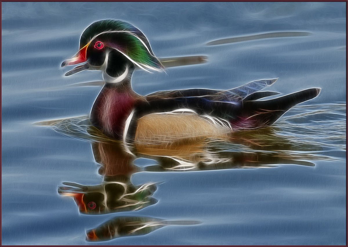 Woodie