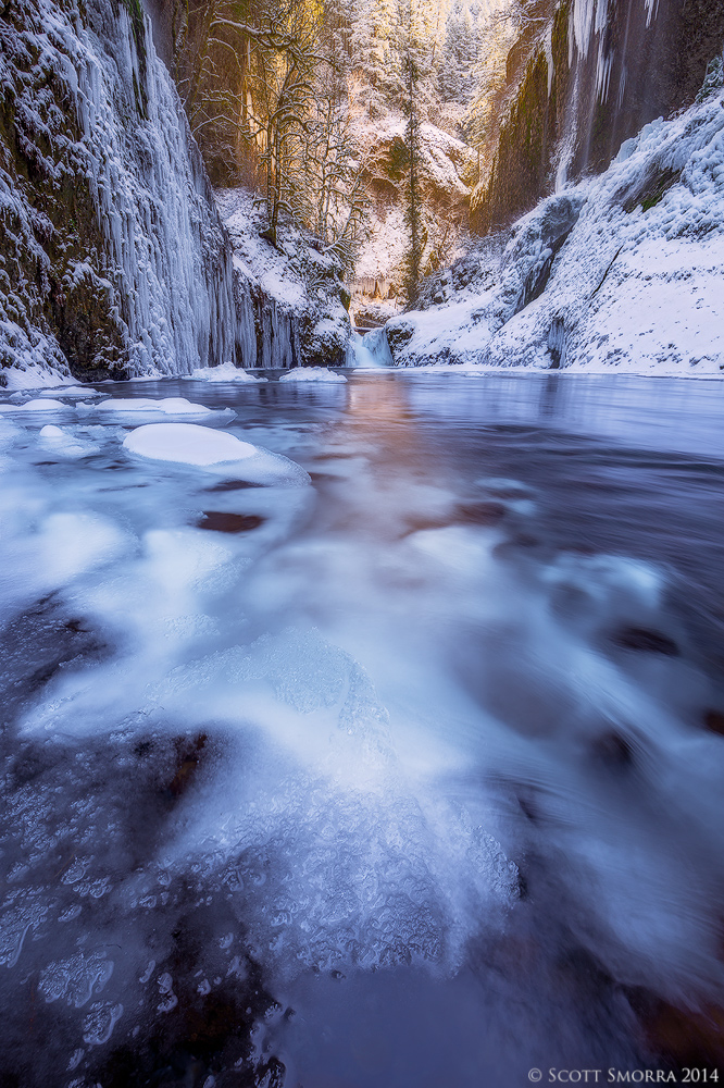 Winter's Warmth II
