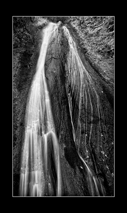 In the Gorge