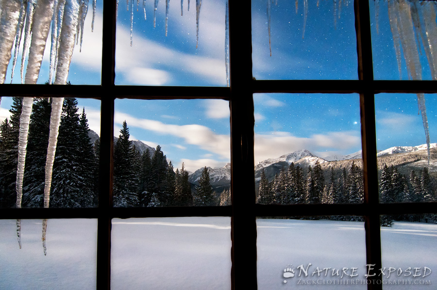 Winter's Window