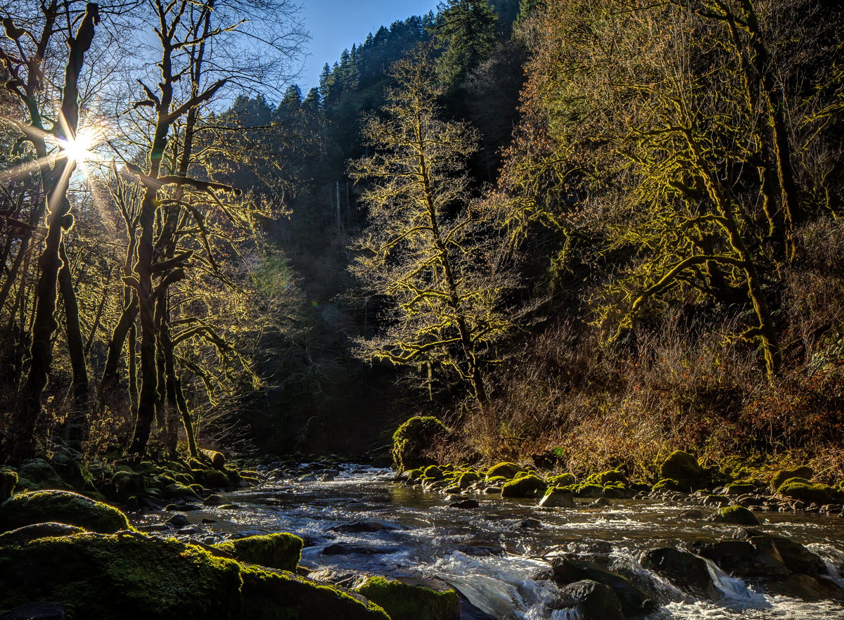 WInter Light.