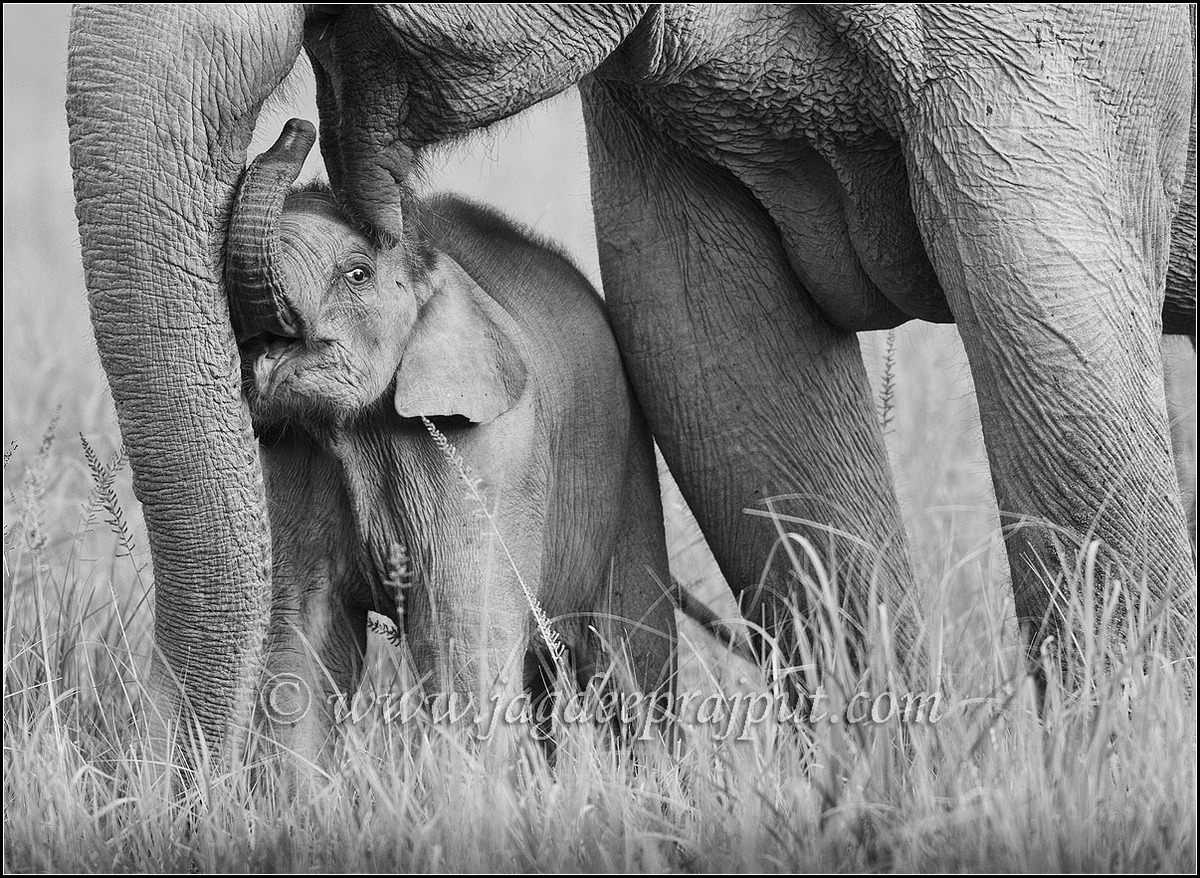 A touching moment