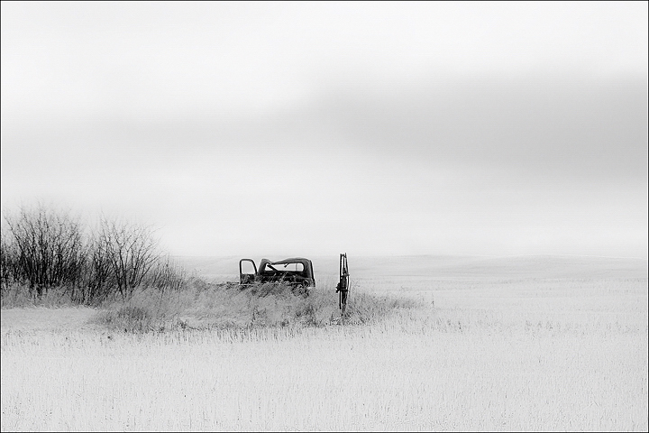 Out to Pasture (WC#628)