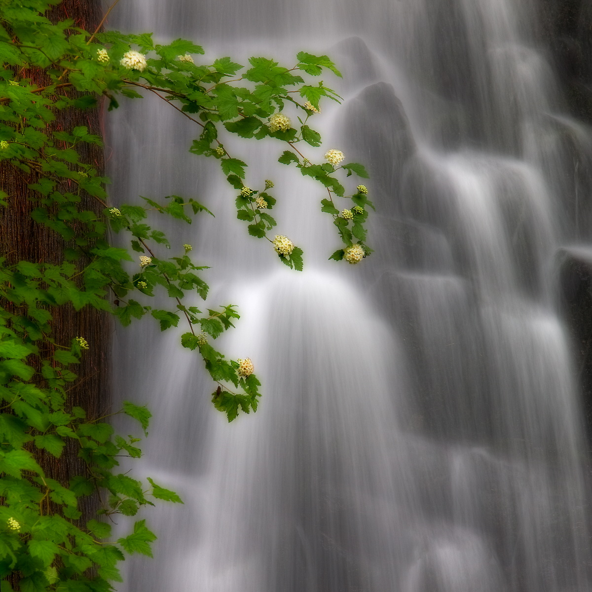Coopey Creek