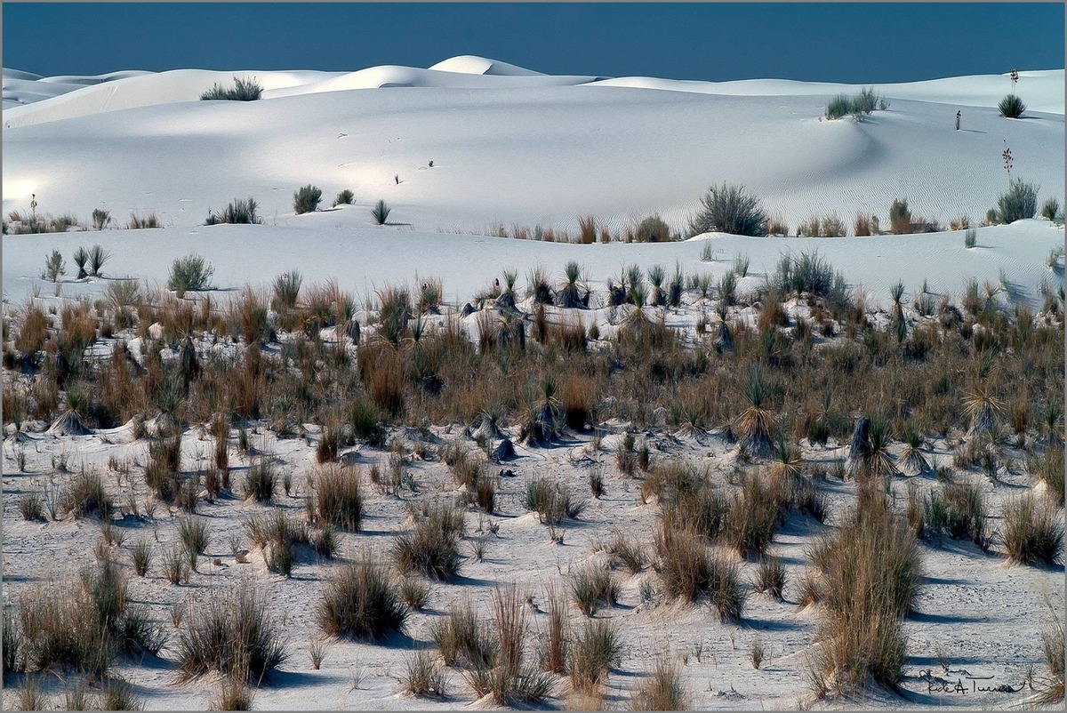 White Sands 