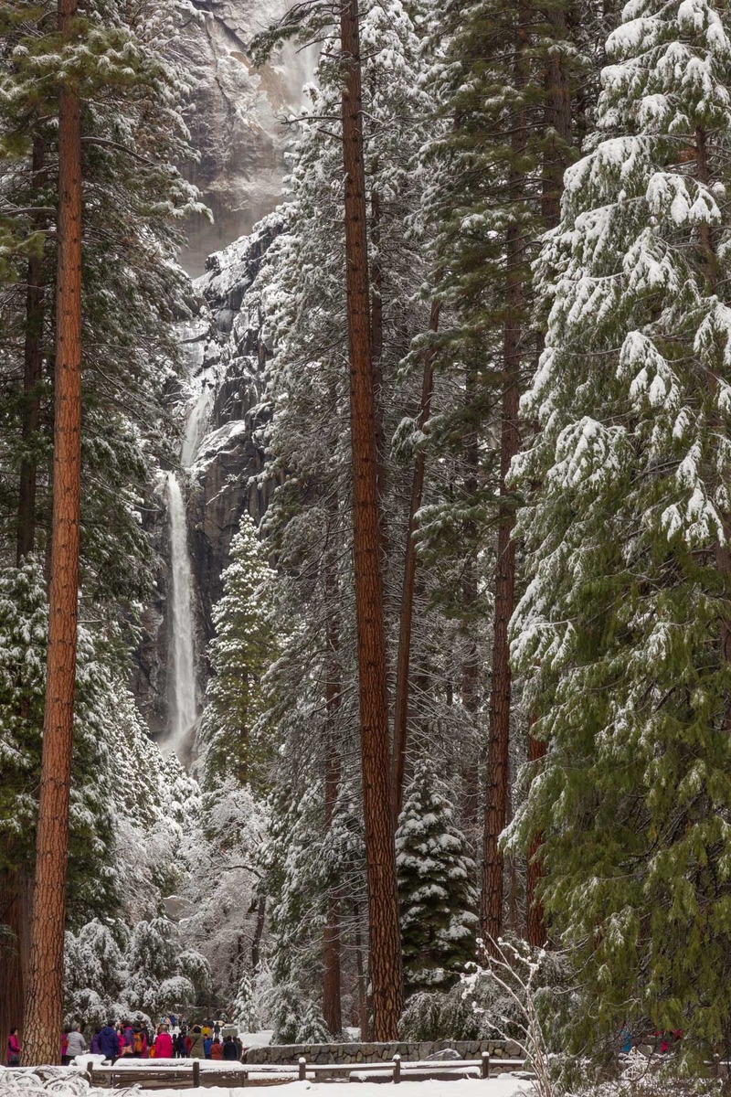 Winter Wonderland