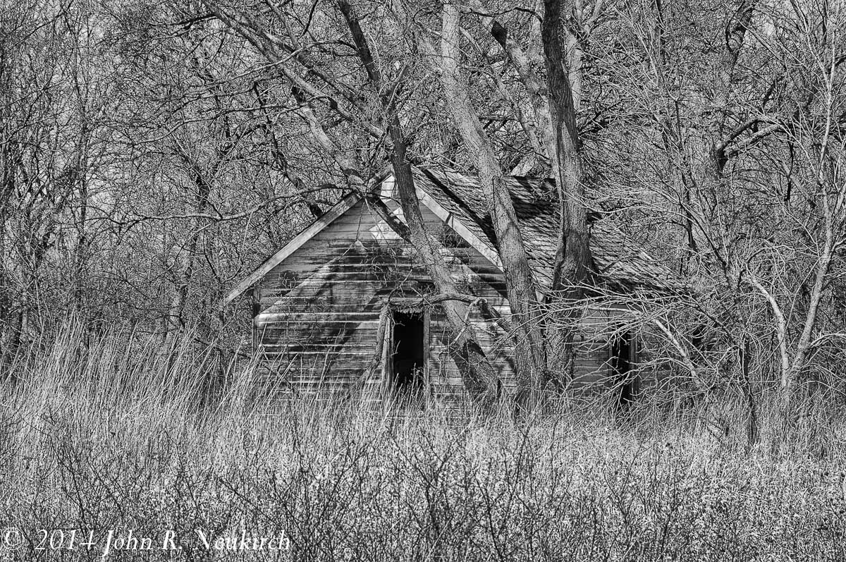 Nature’s reclamation