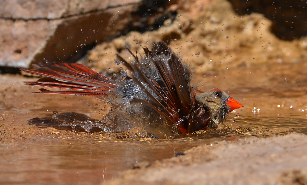 Bath time