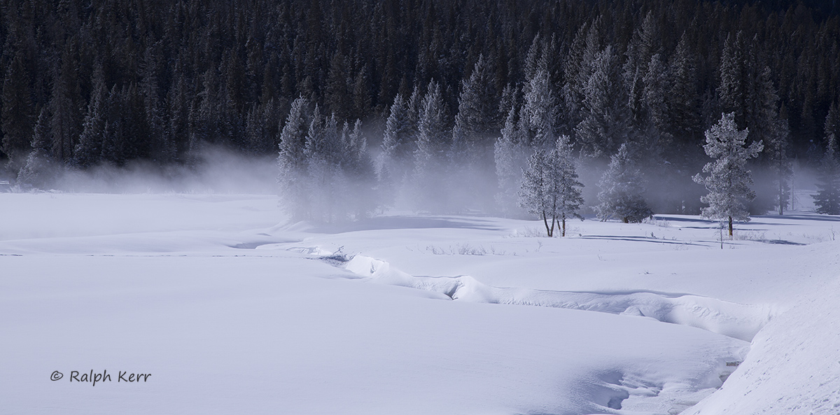 Winter Mist