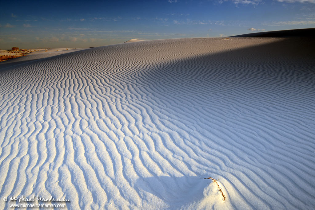 Back to White Sands