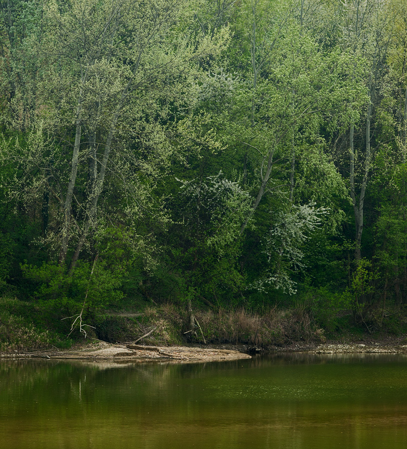 Floodplains in Spring