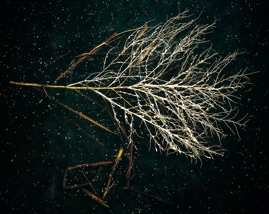 The Stars Fell to Earth