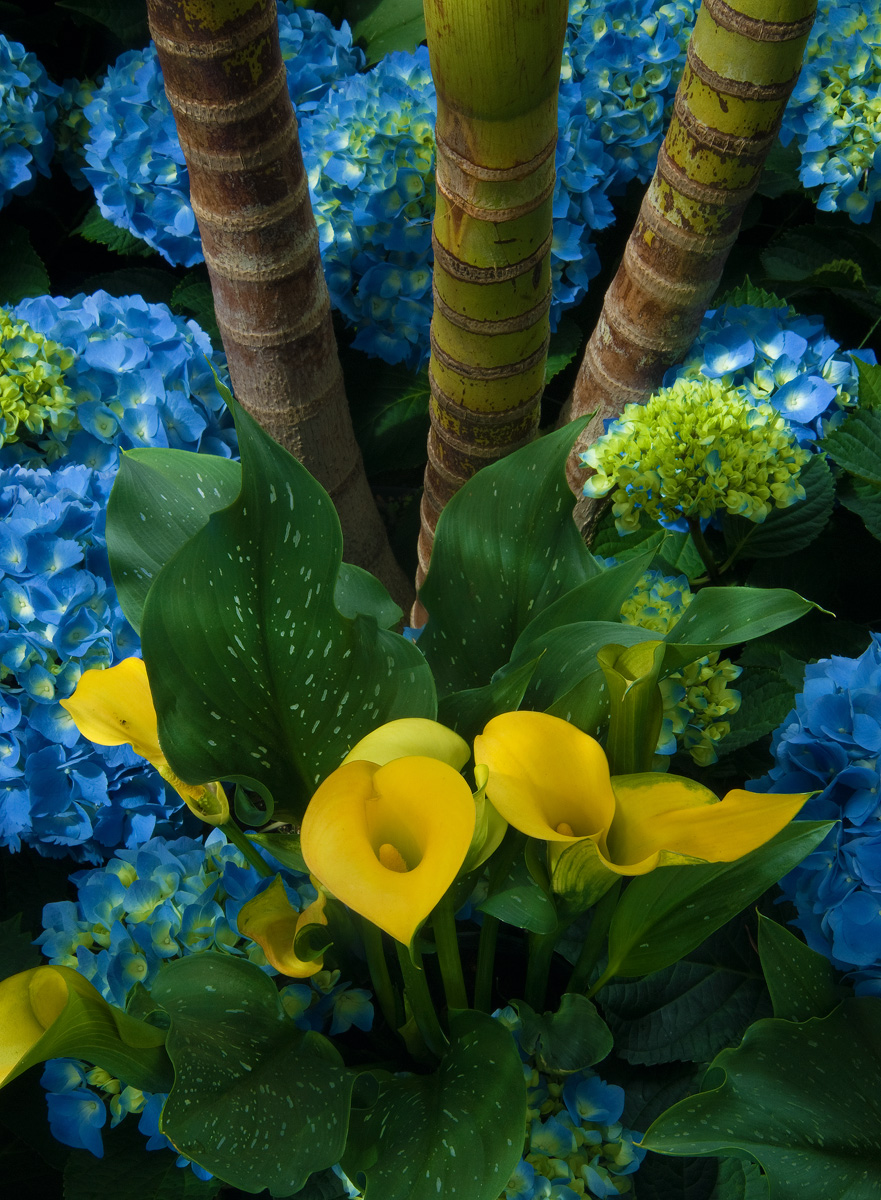 CallaLily & Hydrangea