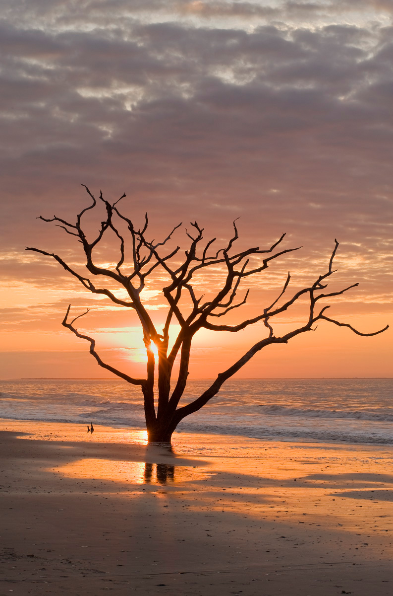 Botany Bay Sunrise