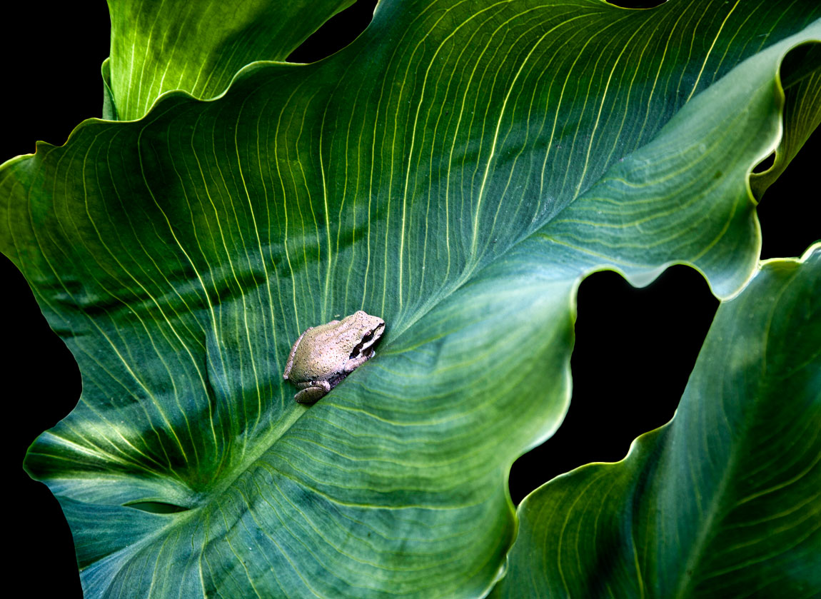 Sojourn