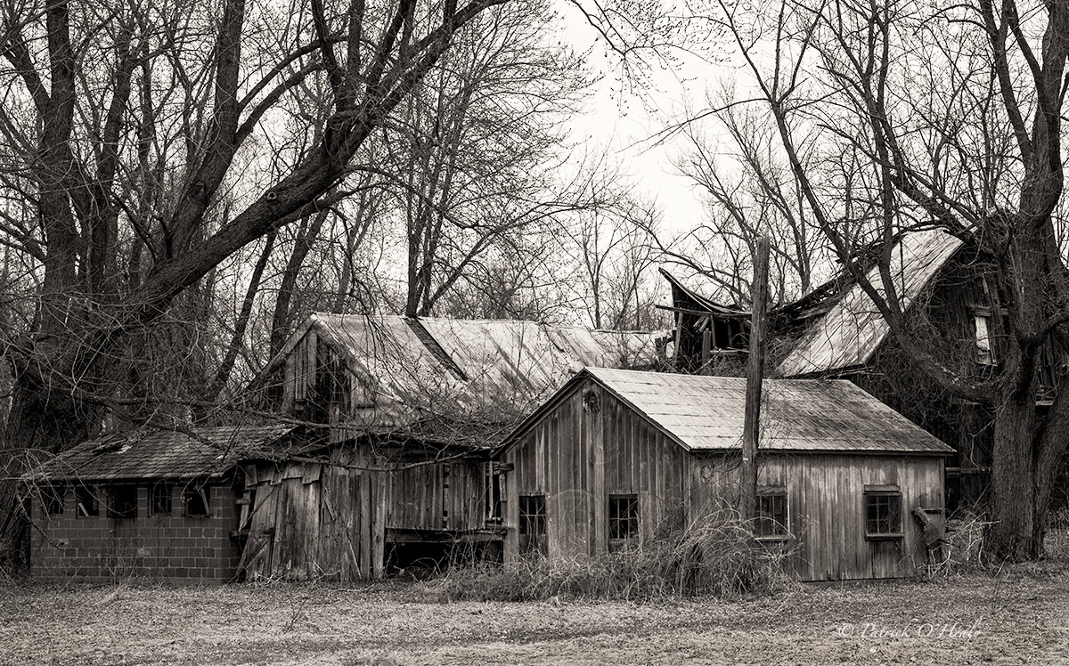 Love Barns