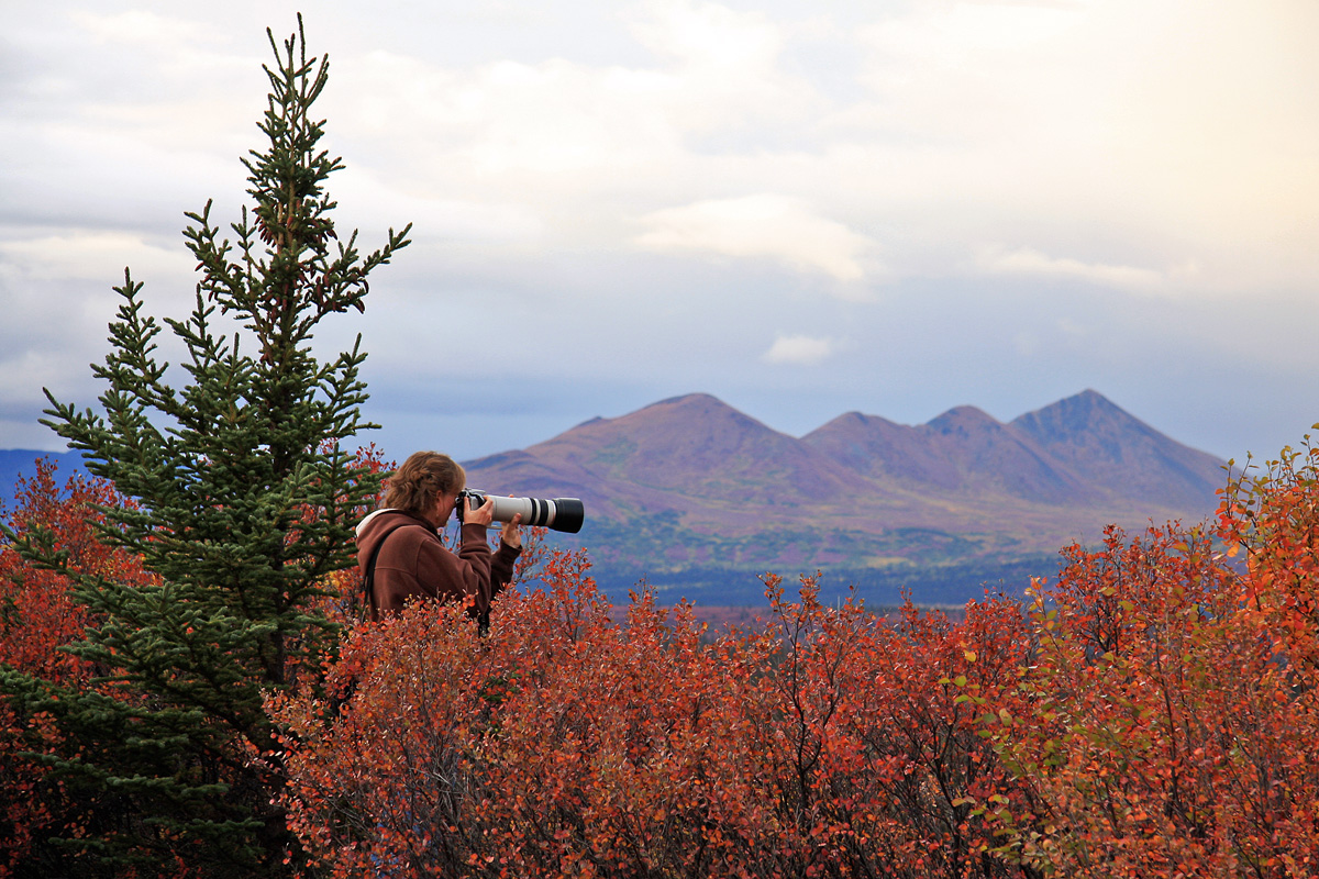 Long Lens Alaska