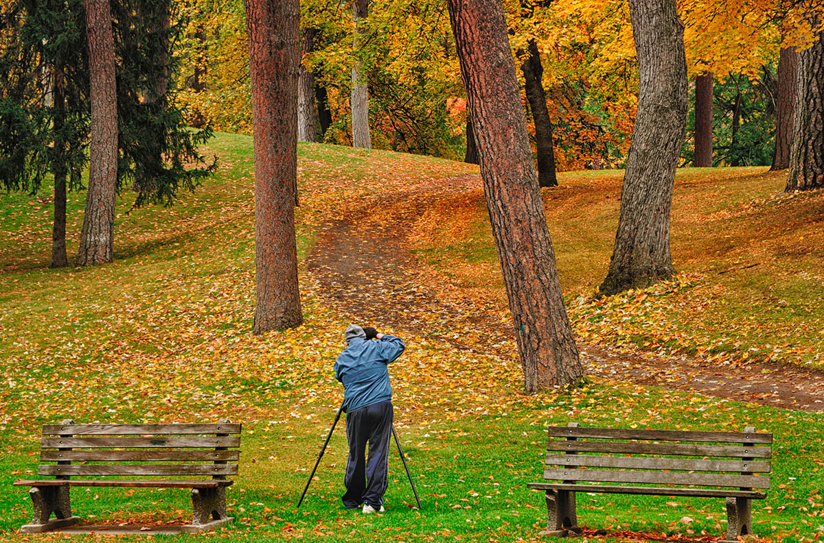 Shootng Fall Colors