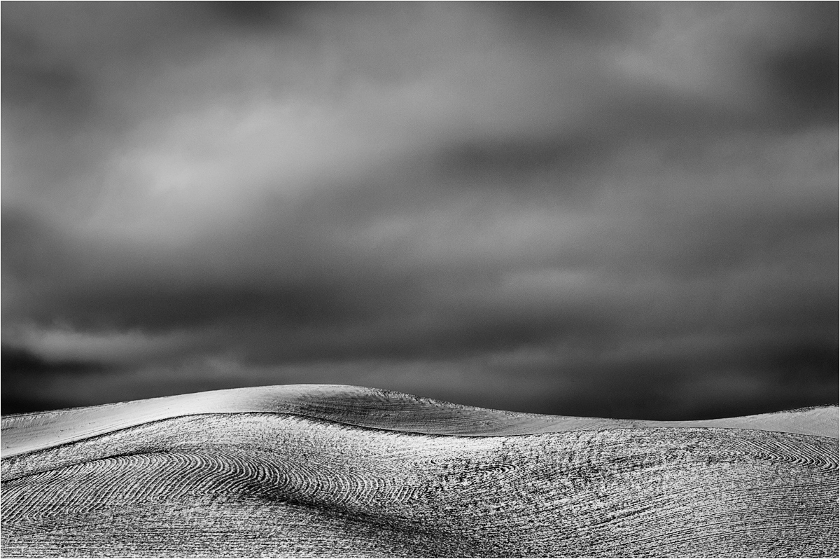 Sensual Curves