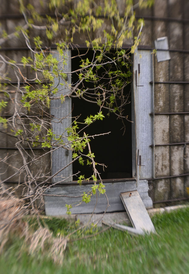 Abandoned Door
