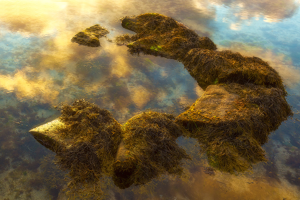 Islands in the Sky