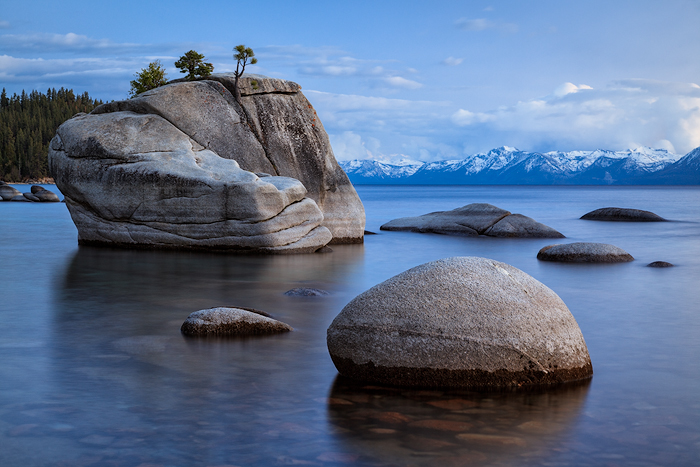 Bonsai Rock Twilight