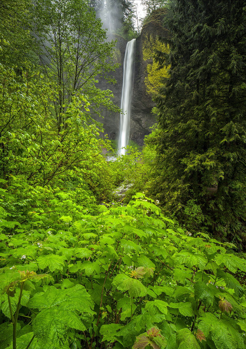 Latourell Falls