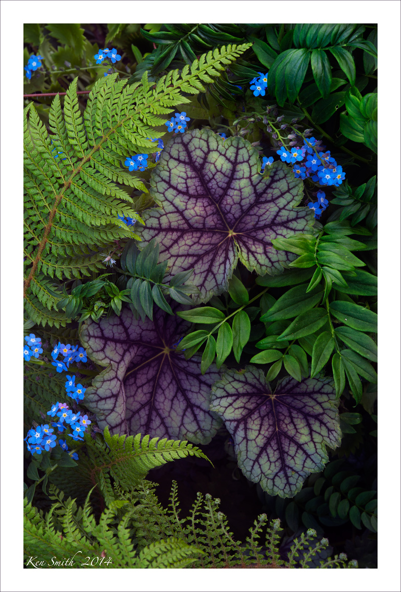 Spring Mix