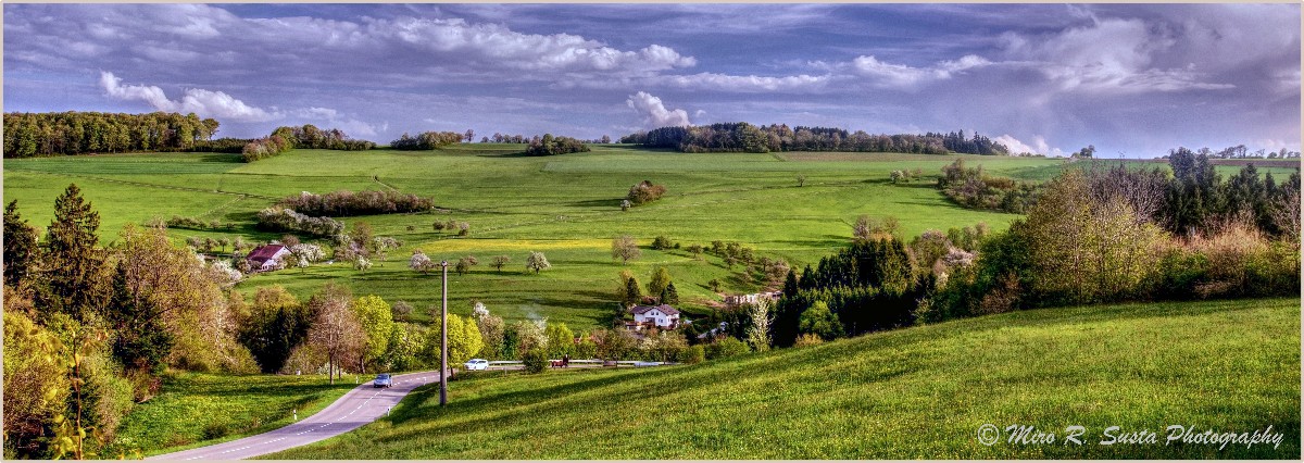 Blossoming Coutryside