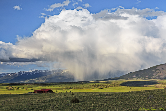 Scattered Showers