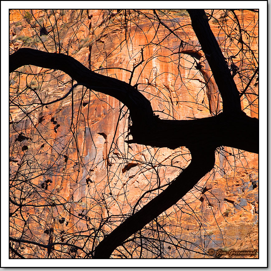 Fractious Nature