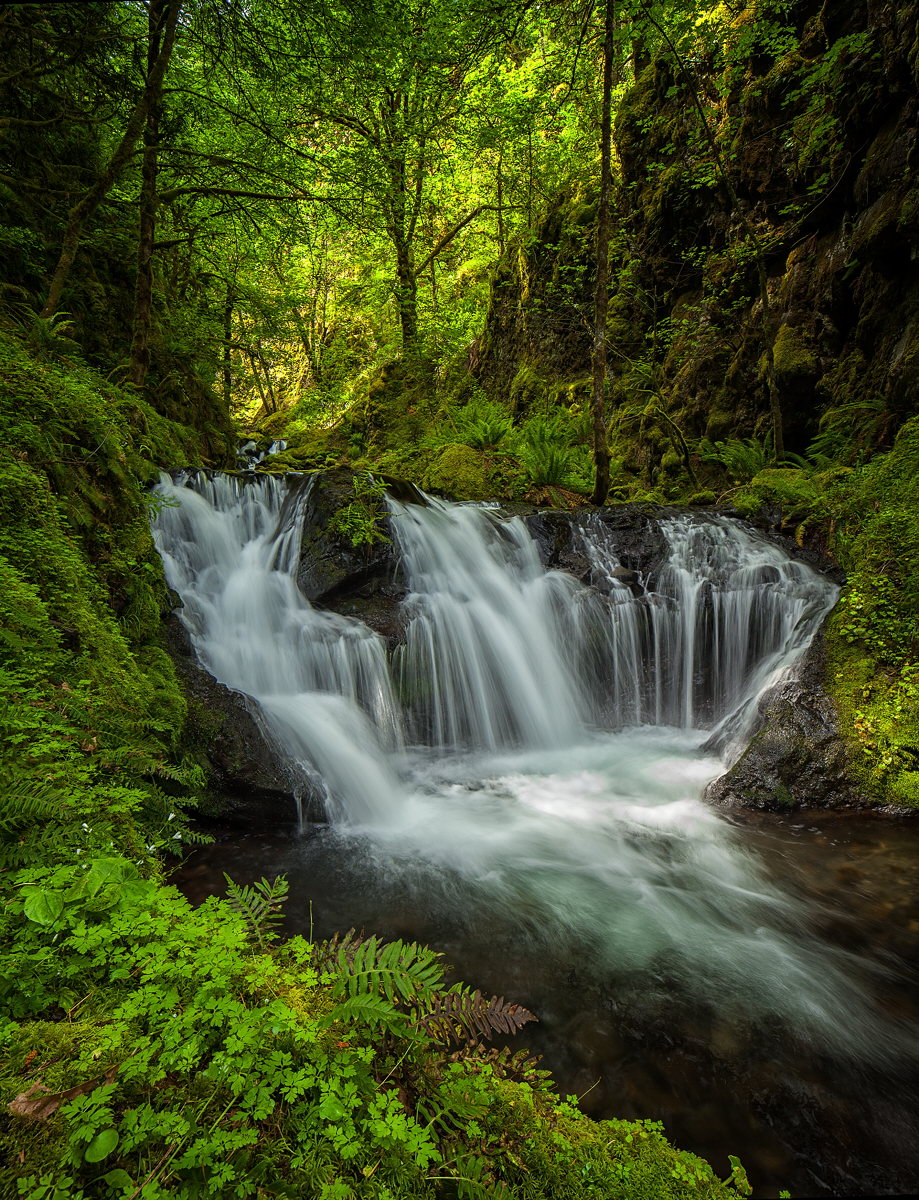 Gorton Creek, Spring 