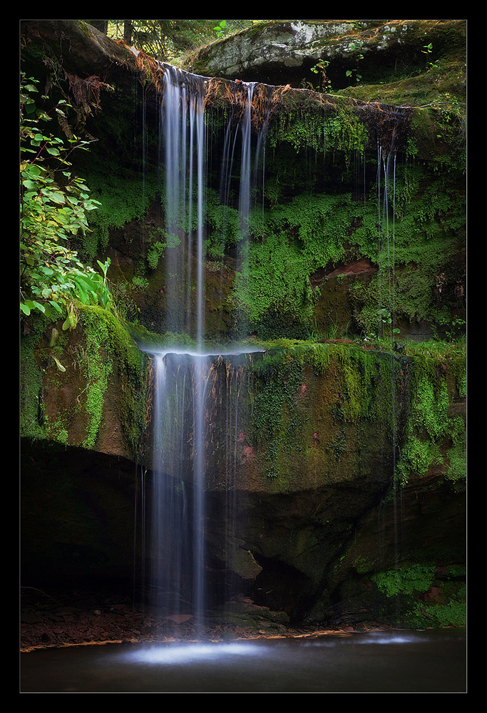 Twin Falls
