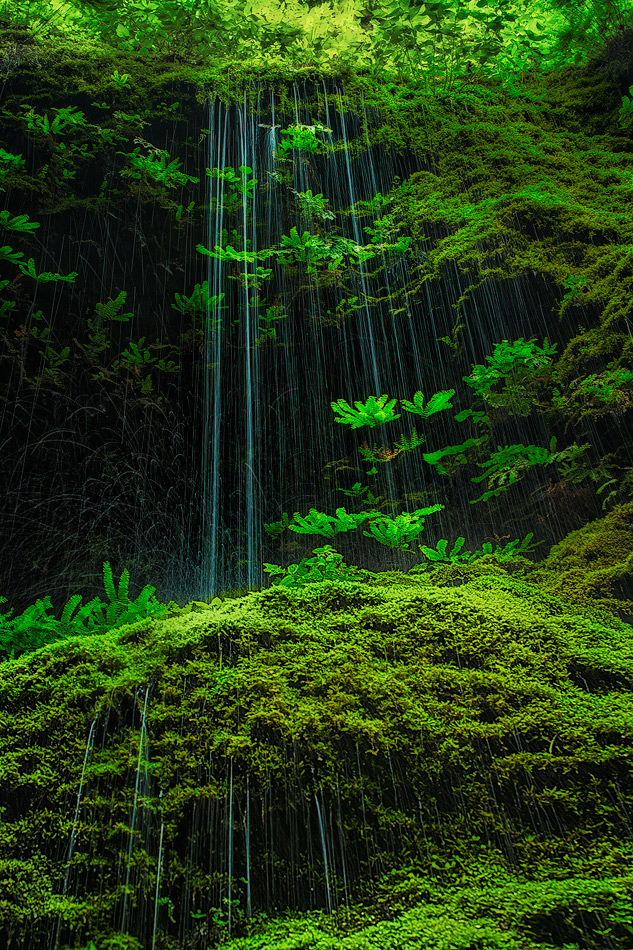 Repost + The Weeping Gorge