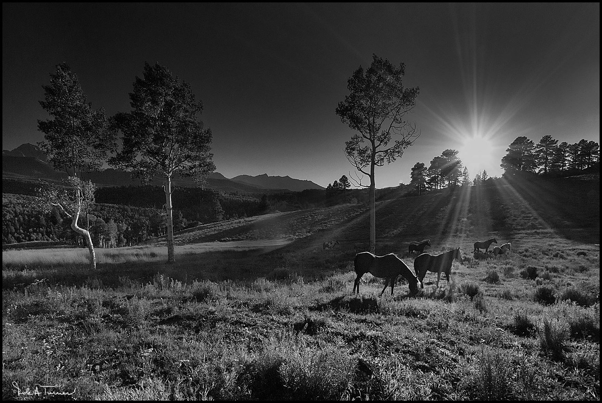 High Mountain Ranch