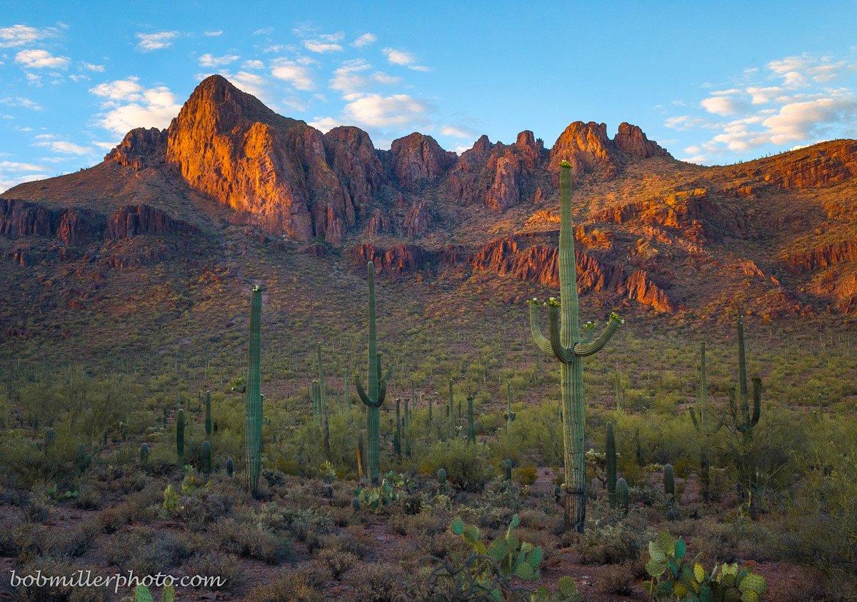 Arizona