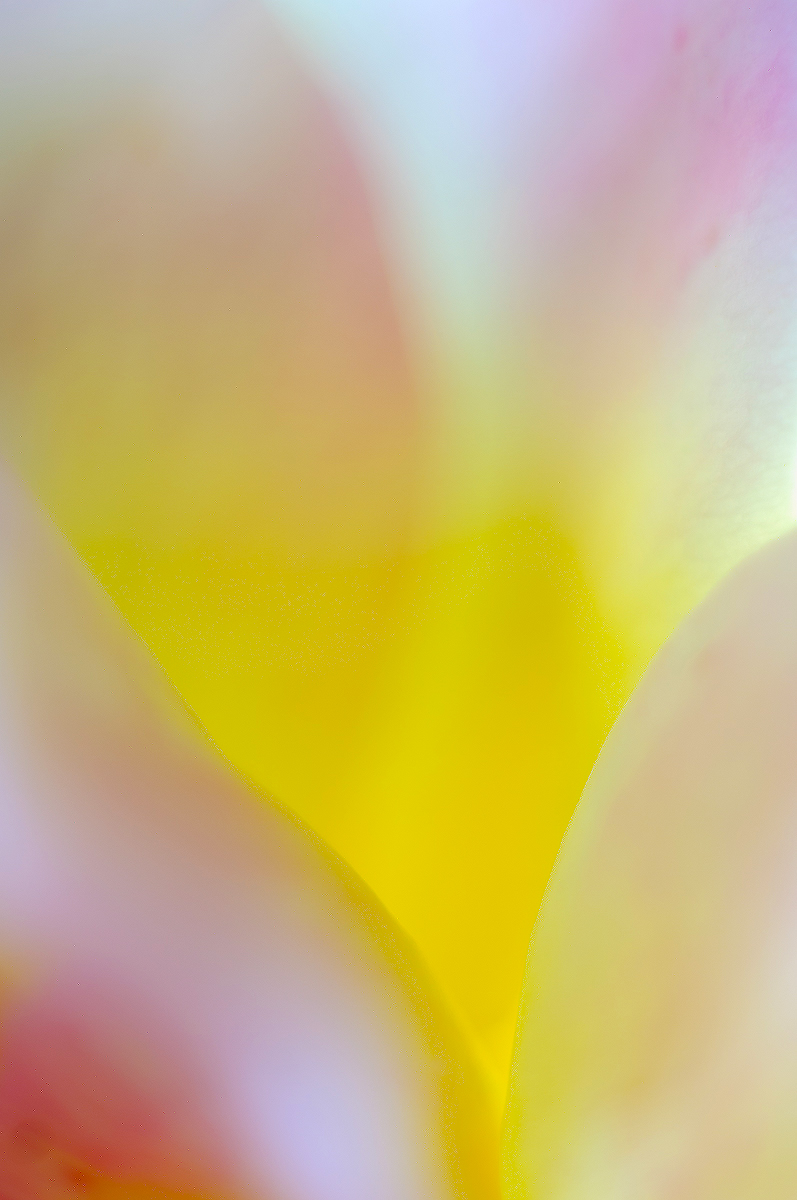 Enchantment
