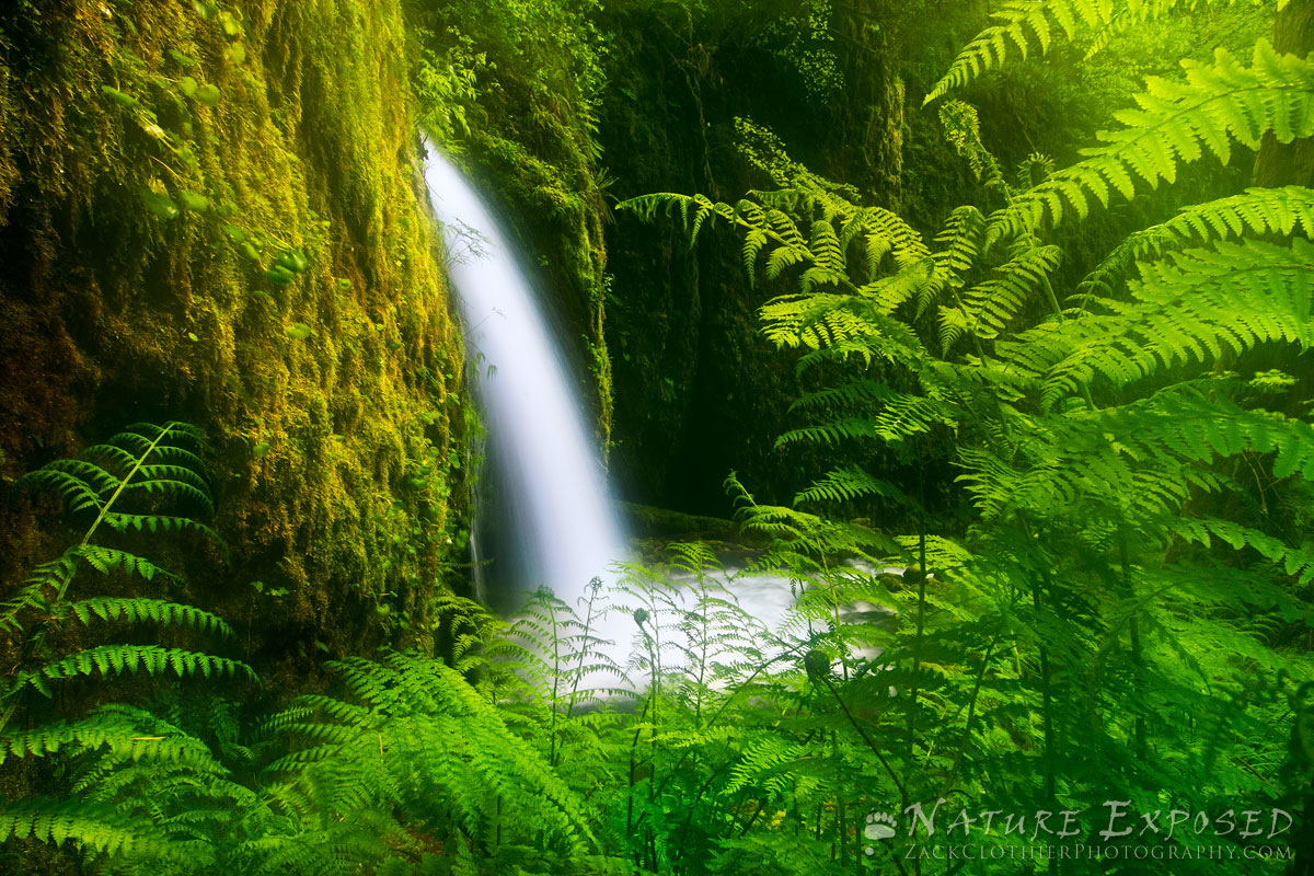 Emerald Grotto
