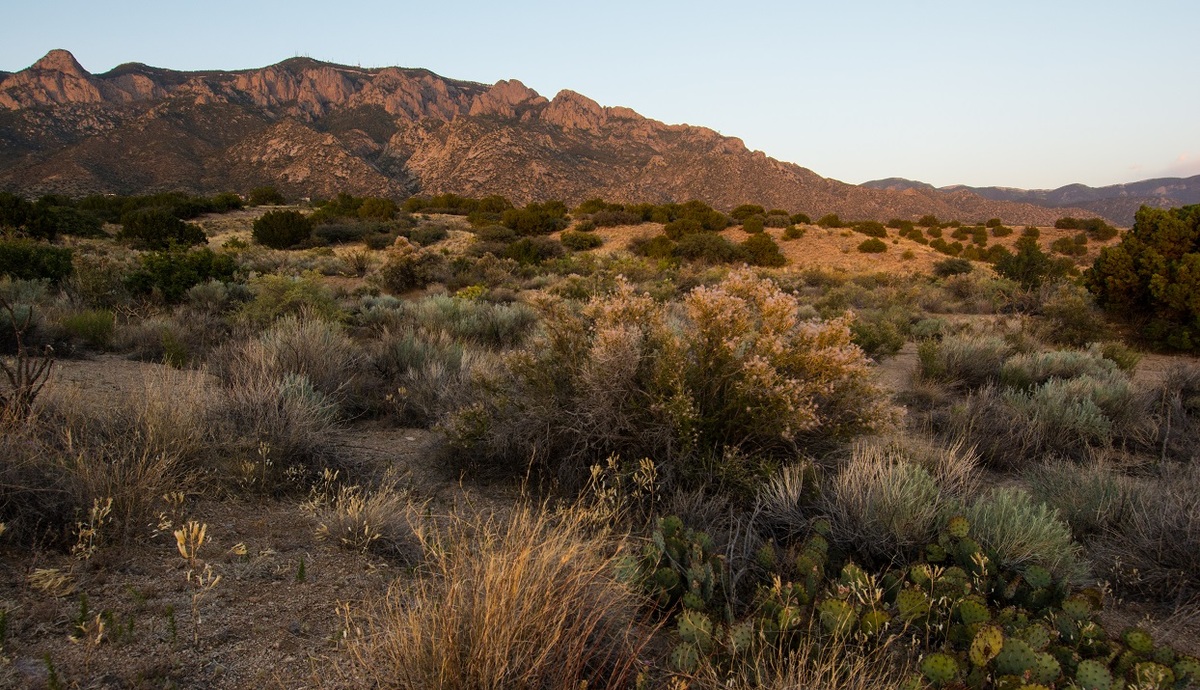Sandias at dusk