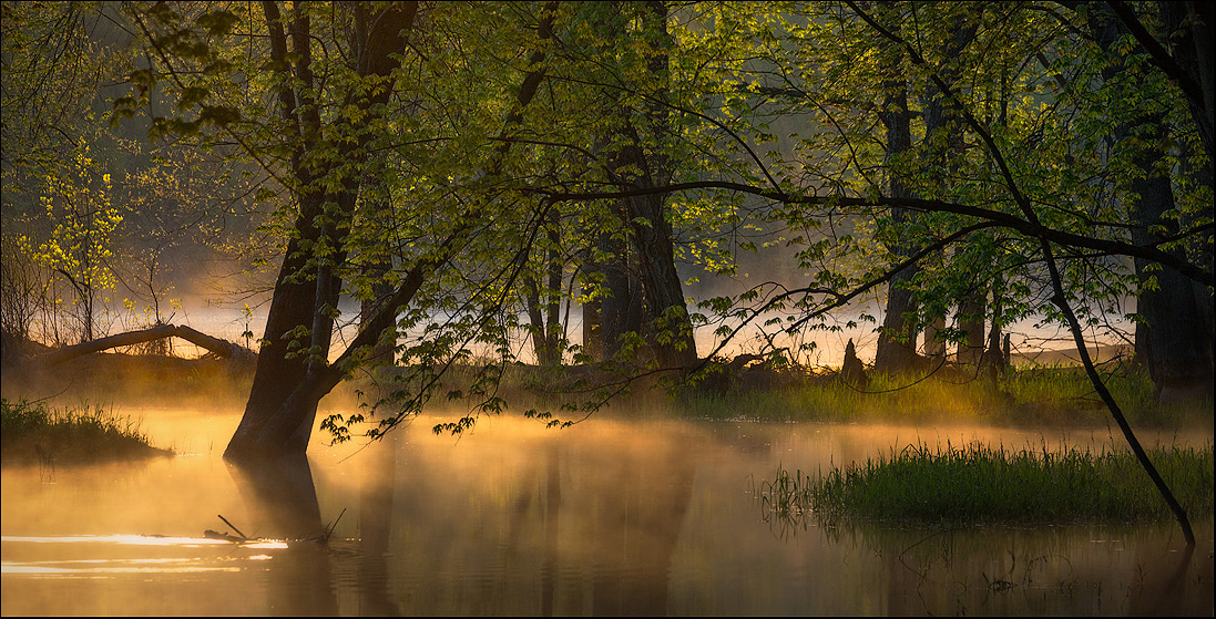 Otter Creek
