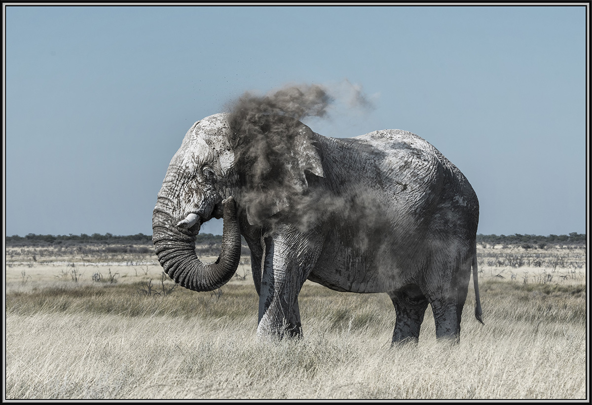 Dust Bath