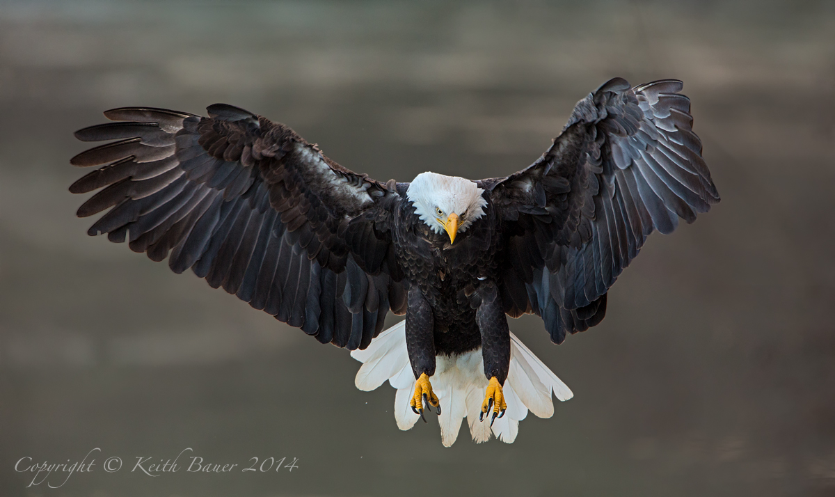Comin' in for a landing