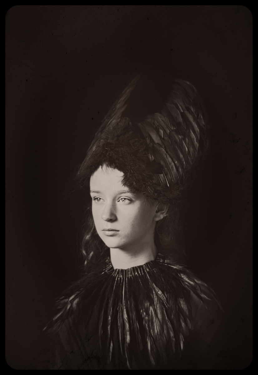 Black Bird