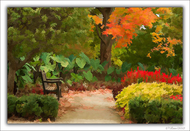 A Garden Scene