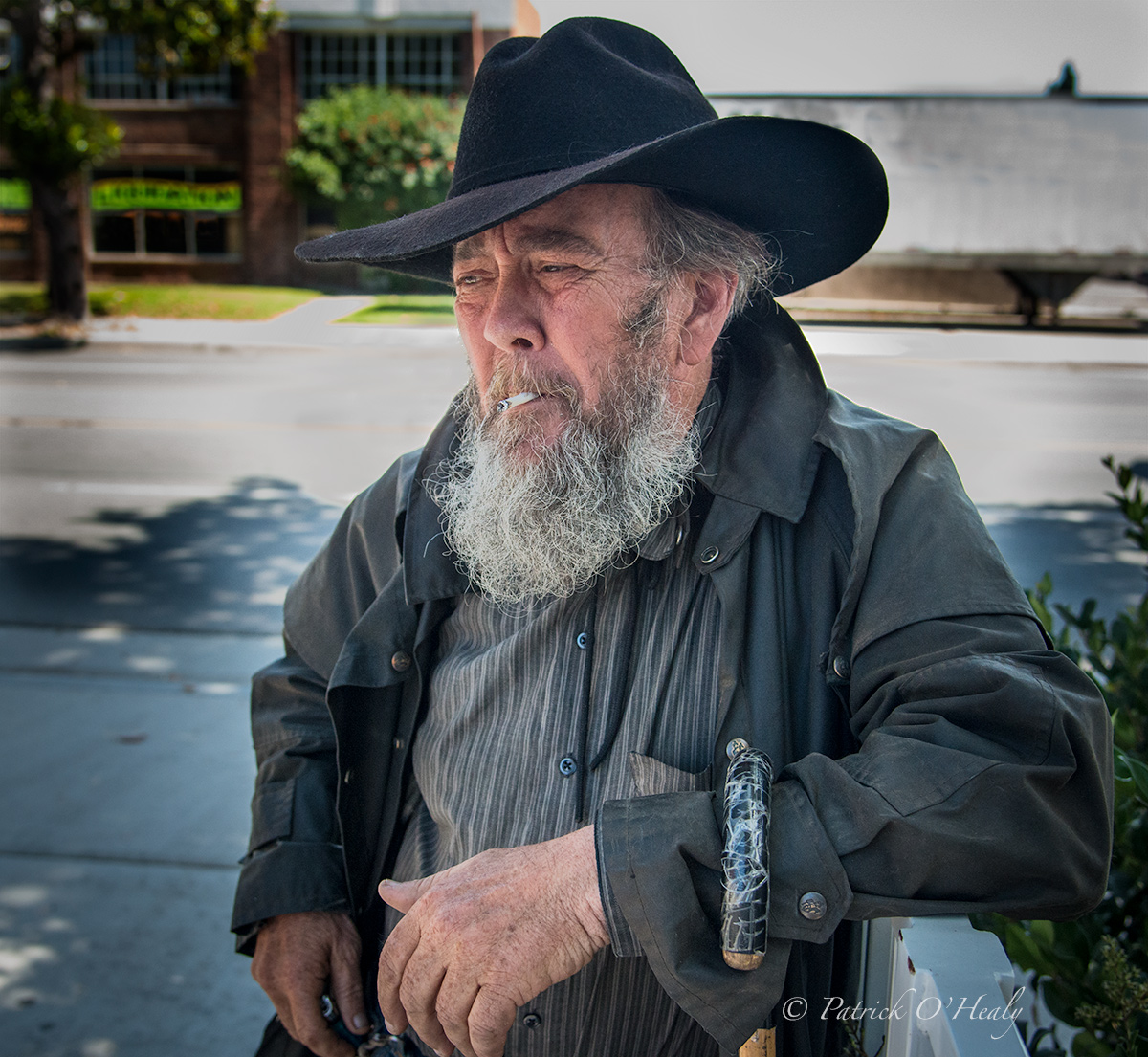 Santa Ana Cowboy