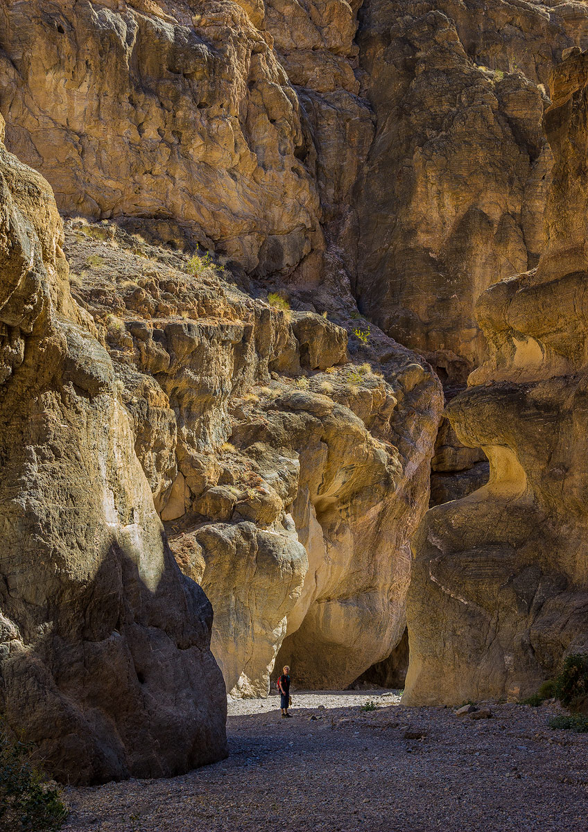 Woman and nature