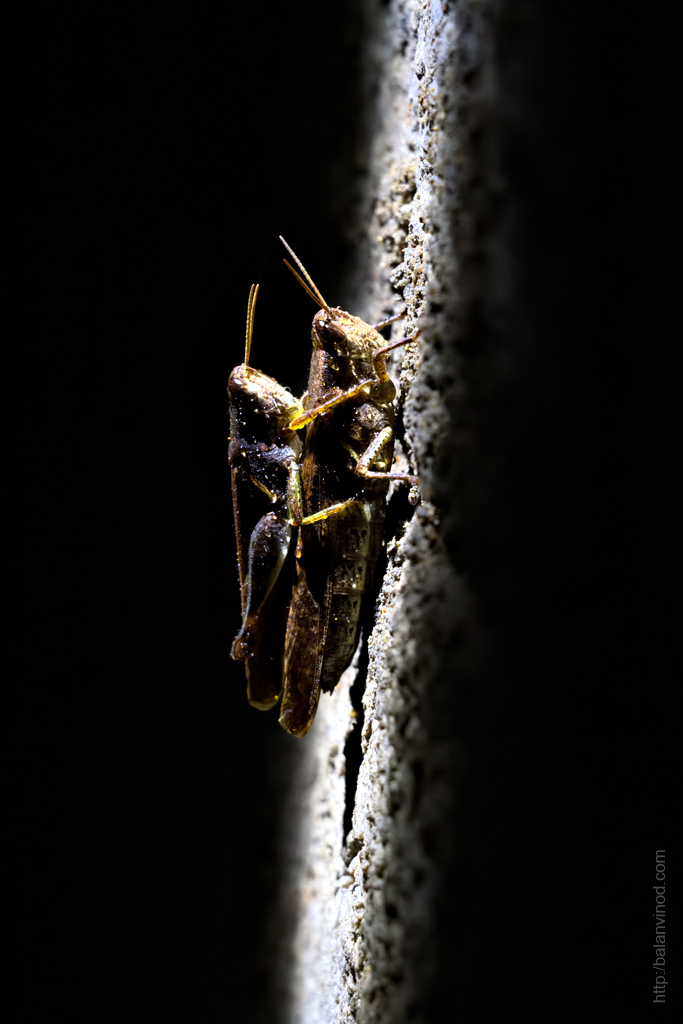 In the Dark